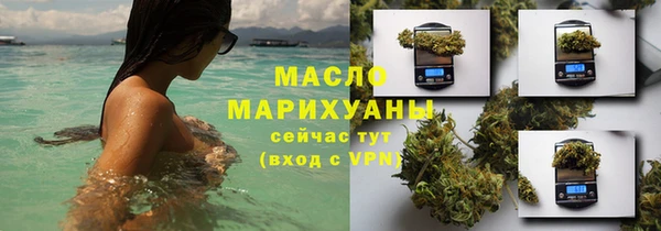 шишки Арсеньев