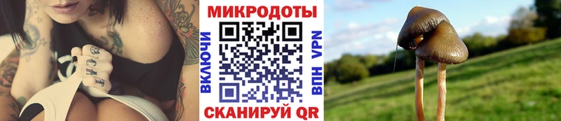 Псилоцибиновые грибы MAGIC MUSHROOMS  блэк спрут зеркало  Белово 