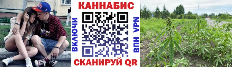 Канабис семена магазин Белово